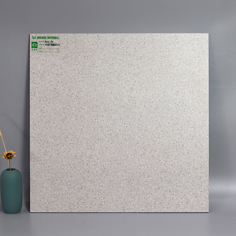 گلدان های کوچک خاکستری سفید 60x60cm کفپوش روستیک کاشی چینی Terrazzo
