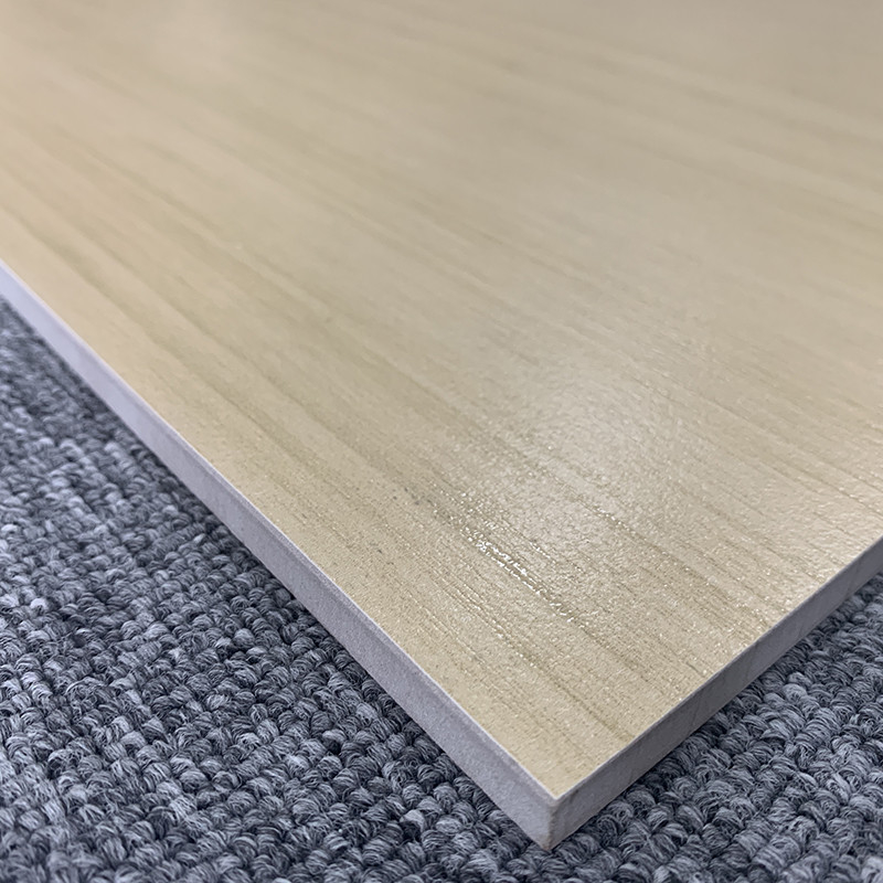 600x1200mm تخته سرامیک لعاب چینی کاشی کف روستیک برای خانه هتل ویلا