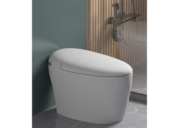 HOMIXE Bathroom Luxury Sensor Electric Automatic Flush Wc Bidet کف سرامیک یک تکه